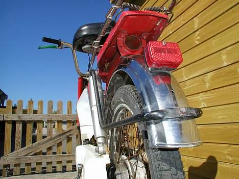 Honda Camino Projekt billede 2