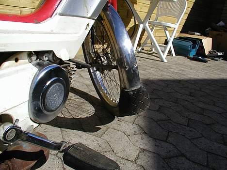 Honda Camino Projekt billede 7