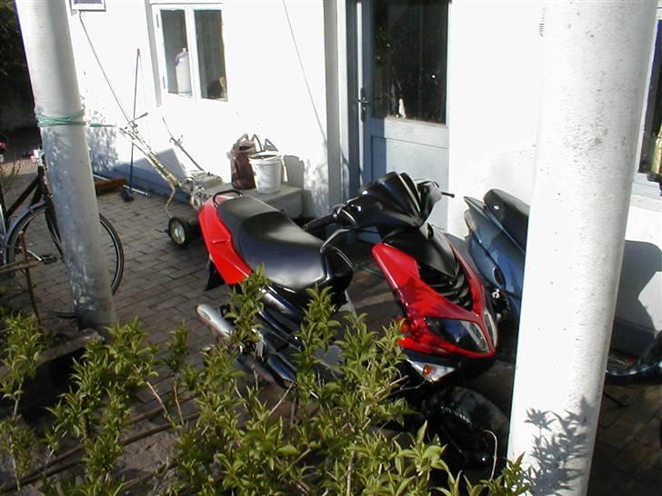 Peugeot speedfight 2  $olqT - Hide in the bushes billede 1