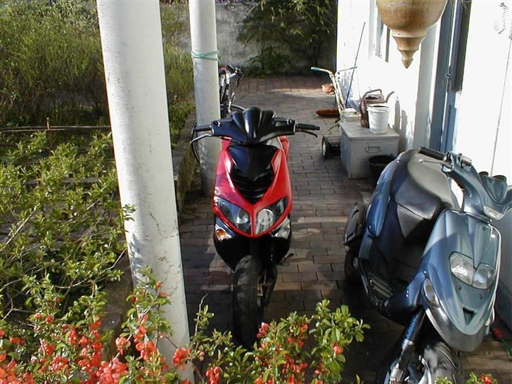 Peugeot speedfight 2  $olqT billede 4