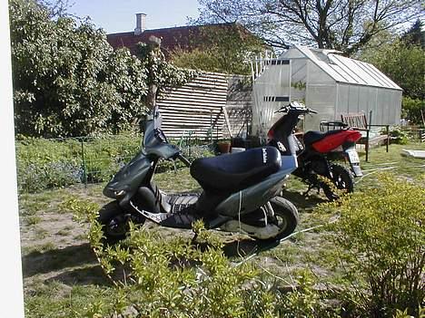 Gilera stalker <3 *solgt* billede 4