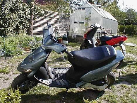 Gilera stalker <3 *solgt* billede 10