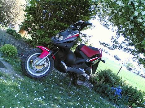 PGO PMX sport    Solgt billede 1