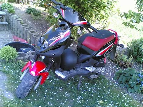 PGO PMX sport    Solgt billede 2