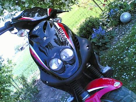 PGO PMX sport    Solgt billede 3