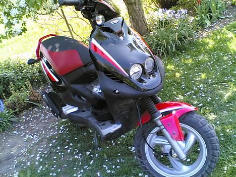 PGO PMX sport    Solgt billede 4