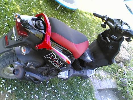 PGO PMX sport    Solgt billede 5