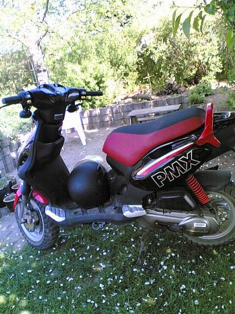 PGO PMX sport    Solgt billede 7