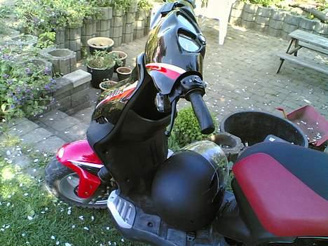 PGO PMX sport    Solgt billede 9