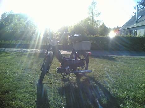 Puch maxi k billede 1