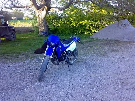 Suzuki SMX billede 2