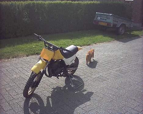 Suzuki ds 80 [SOLGT] 4100,- - ja! min crosser billede 12