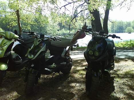 Kymco Agility"Christina"Solgt ! billede 11