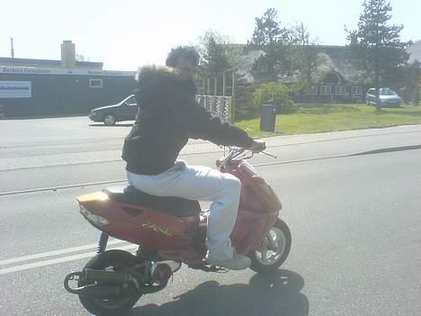 Aprilia Sonic (solgt) - på camping på fanø billede 12