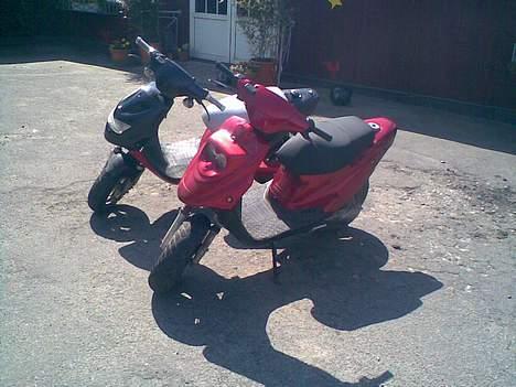 PGO porno solgt billede 5