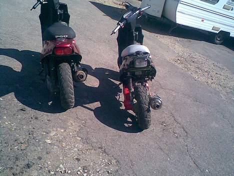 PGO porno solgt billede 6