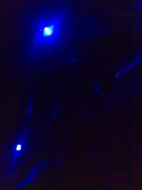 PGO Hot 50 solgt - med dioder tændt billede 13