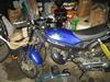 Suzuki street magic (SOLGT)