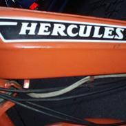 Sachs Hercules (FORSIKRET)