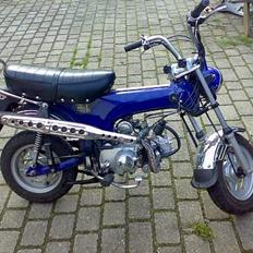 Skyteam dax (projekt)