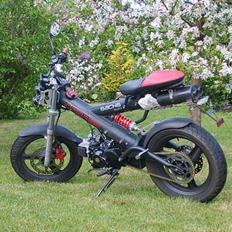 Sachs Madass Solgt