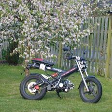 Sachs Madass Solgt