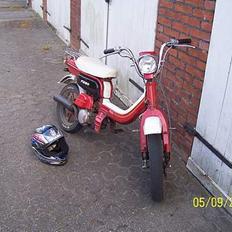 Suzuki Fz 50 ( Død )