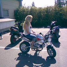 Skyteam PBR 125cc Brændt  ;(