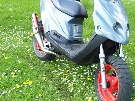 PGO Hot 50 - SOLGT - PMX forgaflen skal da oss lige med.. Den var heller ikk på sidste år.. billede 17