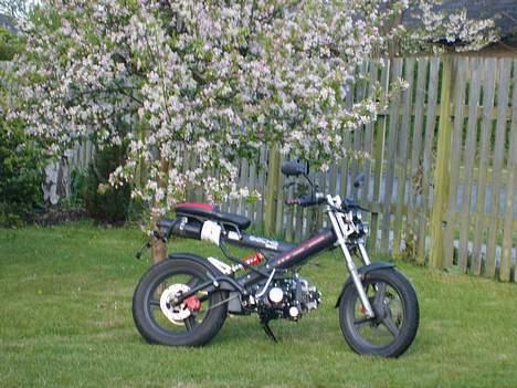 Sachs Madass Solgt billede 2