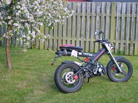 Sachs Madass Solgt billede 6