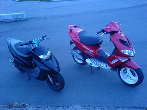 Peugeot Speedfight 2 - The frog - som de så ud før og mc´s honda sfx billede 3