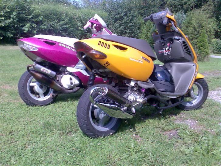 Aprilia Græshoppen 17,10 HK - putte og min sammen  billede 20