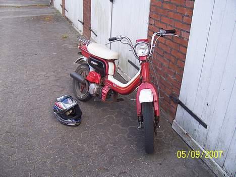 Suzuki Fz 50 ( Død ) billede 1