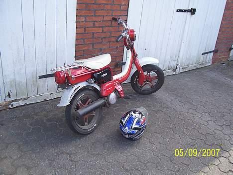 Suzuki Fz 50 ( Død ) billede 2