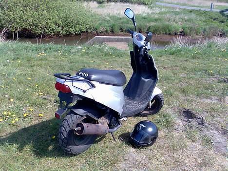 PGO Hot 50 [TIL SALG/BYTTE] billede 3