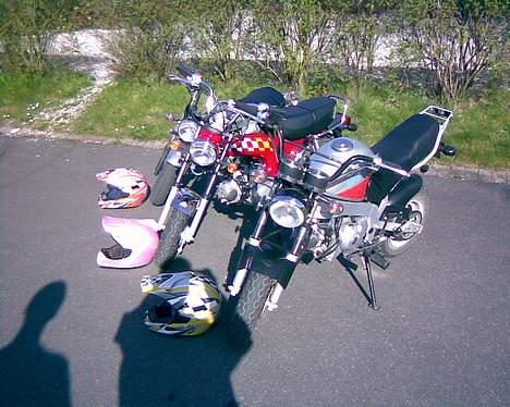 Skyteam PBR 125cc Brændt  ;( - Det jo 4-takter Banden !!   Med 50cc Motor billede 4