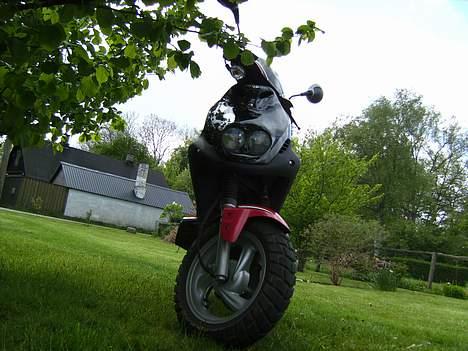 PGO PMX SPORT - Efter cirka to år billede 6