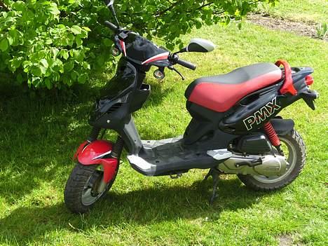 PGO PMX SPORT - Efter cirka to år billede 7