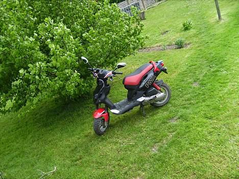 PGO PMX SPORT - Efter cirka to år billede 8