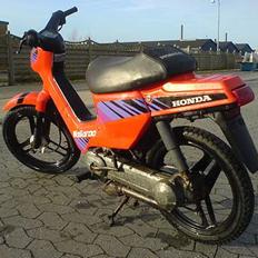 Honda Wallaroo (solgt)