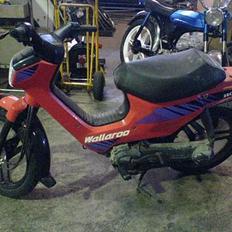 Honda Wallaroo (solgt)