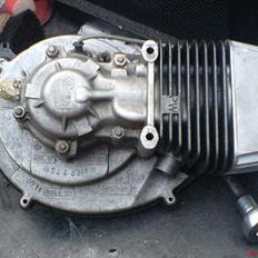 Vespa [ Polini ] Ciao P (årg B)