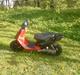 PGO hot50 (SOLGT)