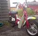 Suzuki FZ50
