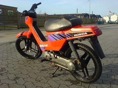 Honda Wallaroo (solgt) billede 1