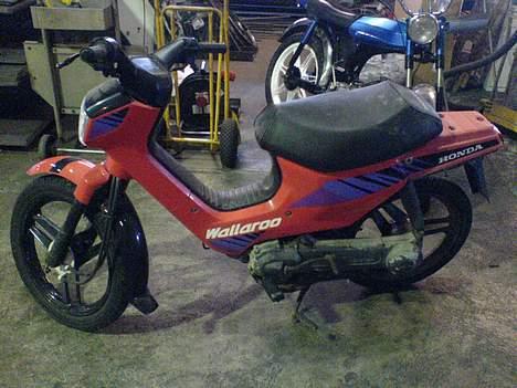 Honda Wallaroo (solgt) - Sådan så den ud da jeg fik den.. billede 2