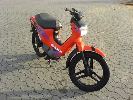 Honda Wallaroo (solgt) billede 4