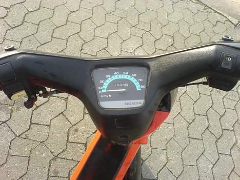 Honda Wallaroo (solgt) billede 5
