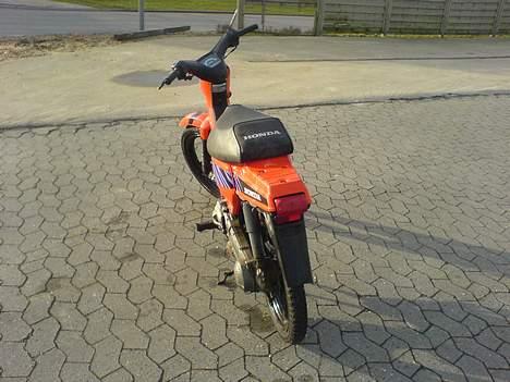 Honda Wallaroo (solgt) billede 8